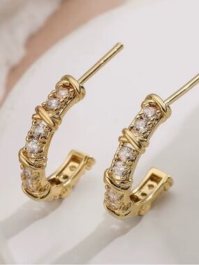 Stainless steel Pave Mini Hoop Earrings - Women Jewelryst
